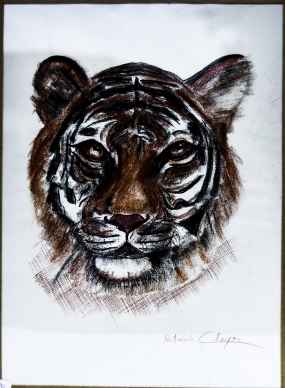 Le Tigre