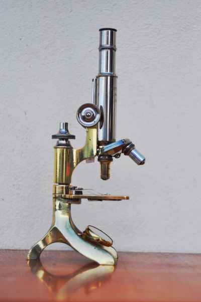 Microscope (3)