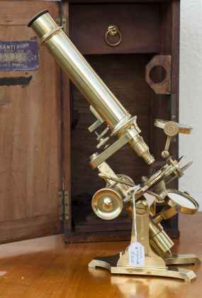 Microscope (1)